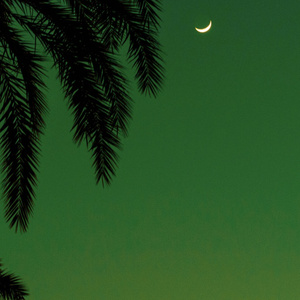 男人把女人捅到爽视频
