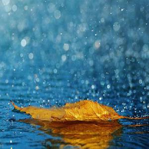 男人把女人捅到爽视频
