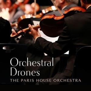 男人把女人捅到爽视频
